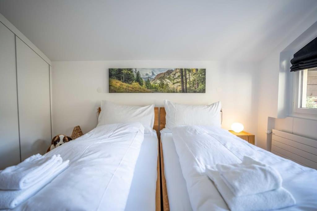 Moderne Wohnung Mit Ausblick Und Viel Sonne Церматт Экстерьер фото